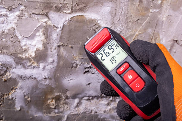 Best Office Mold Removal Services  in Naples, UT