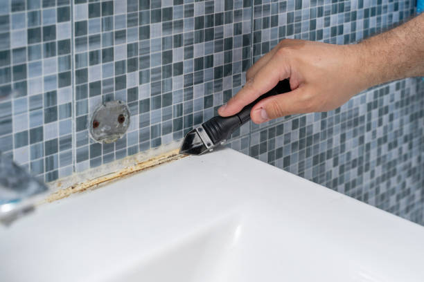 Best Toxic Mold Removal  in Naples, UT