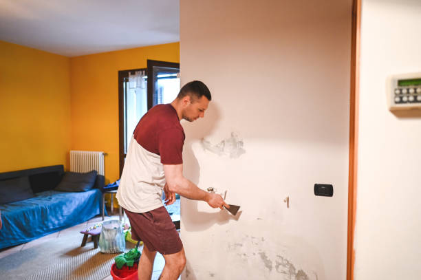 Best Emergency Mold Removal  in Naples, UT